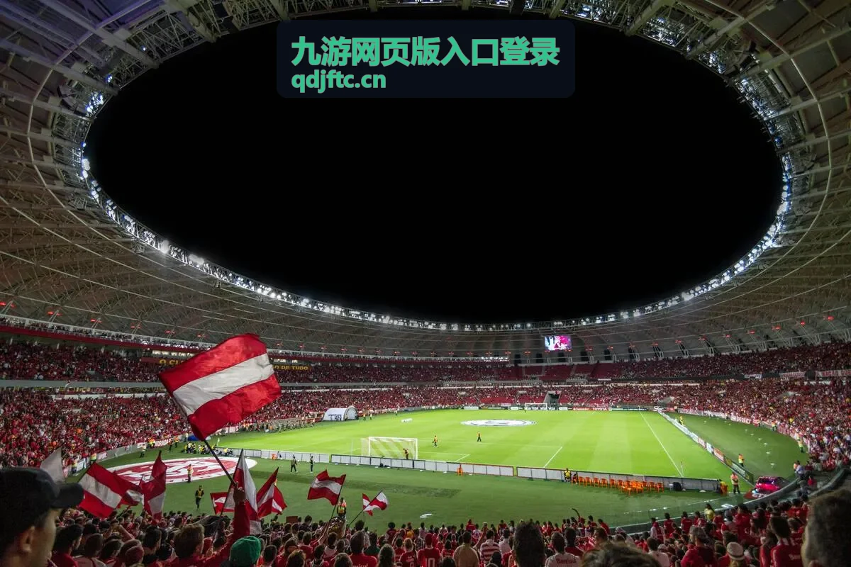 九游网页版入口登录账号密码栏目的输入格式要求