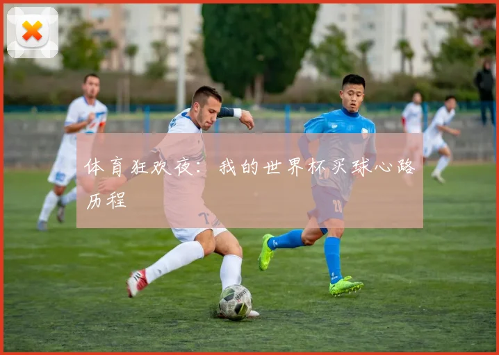 体育狂欢夜：我的世界杯买球心路历程