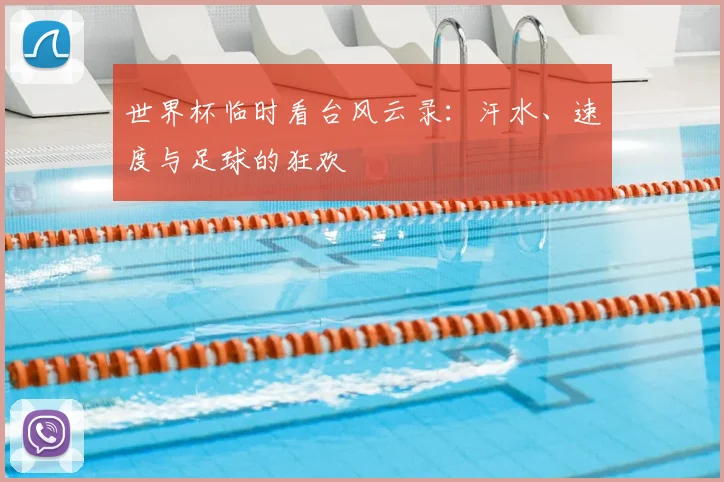 世界杯临时看台风云录：汗水、速度与足球的狂欢