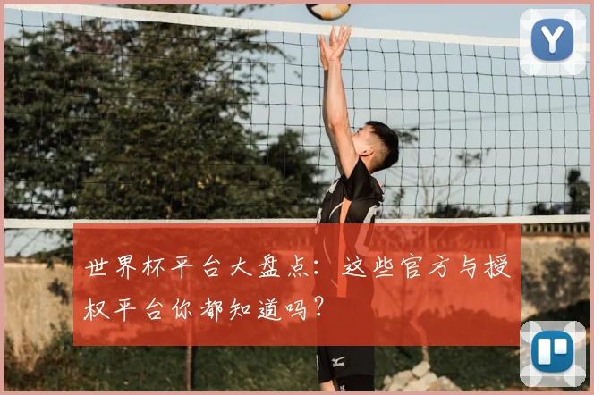 世界杯平台大盘点：这些官方与授权平台你都知道吗？