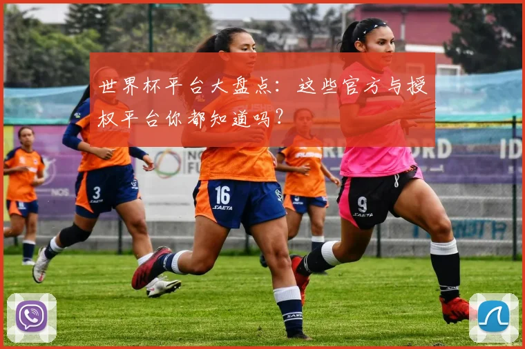 世界杯平台大盘点：这些官方与授权平台你都知道吗？