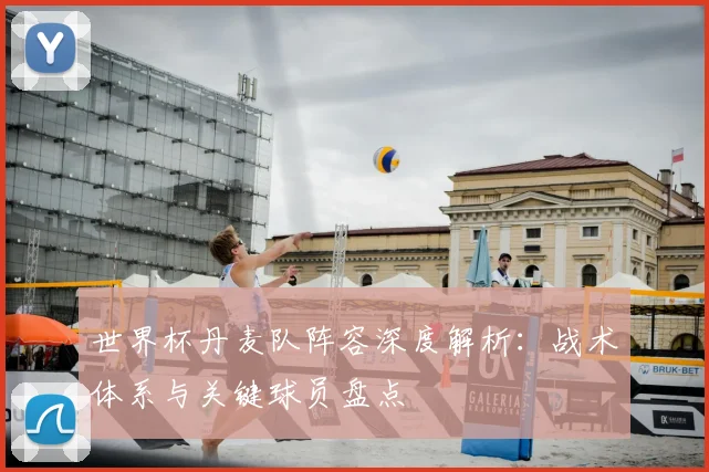 世界杯丹麦队阵容深度解析：战术体系与关键球员盘点