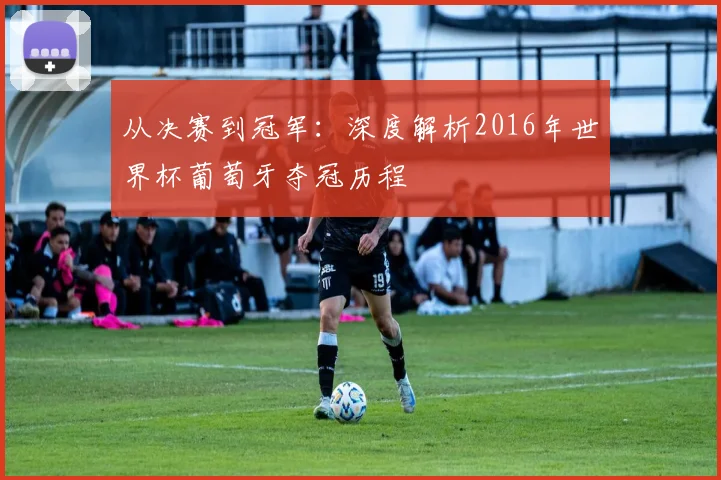 从决赛到冠军：深度解析2016年世界杯葡萄牙夺冠历程