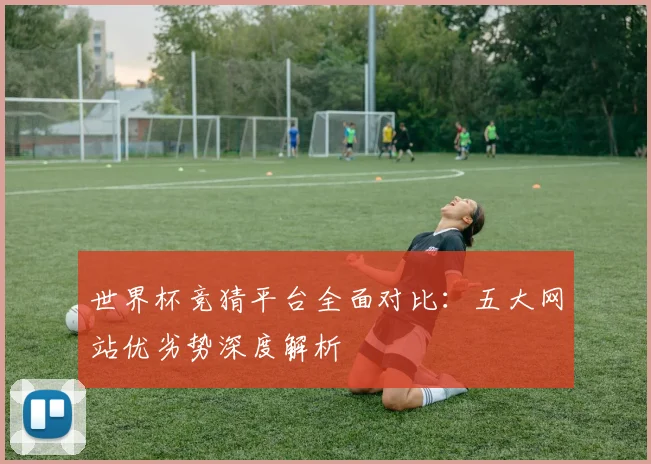 世界杯竞猜平台全面对比：五大网站优劣势深度解析